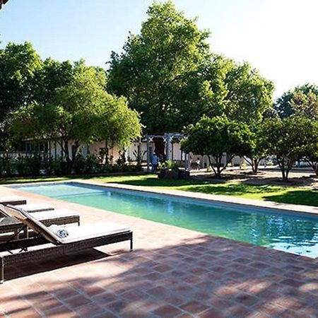 Noi Blend Colchagua Hotell Santa Cruz Eksteriør bilde