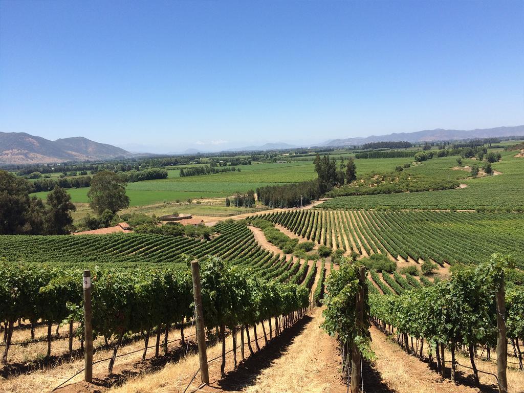Noi Blend Colchagua Hotell Santa Cruz Eksteriør bilde