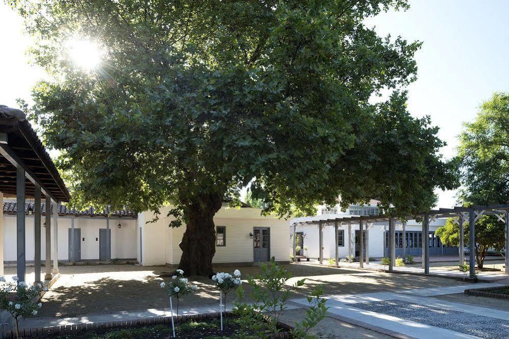 Noi Blend Colchagua Hotell Santa Cruz Eksteriør bilde