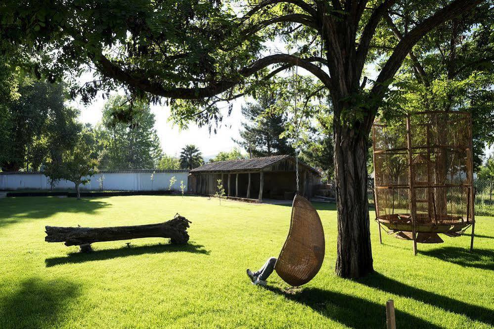 Noi Blend Colchagua Hotell Santa Cruz Eksteriør bilde